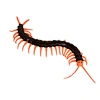 Latex Centipede